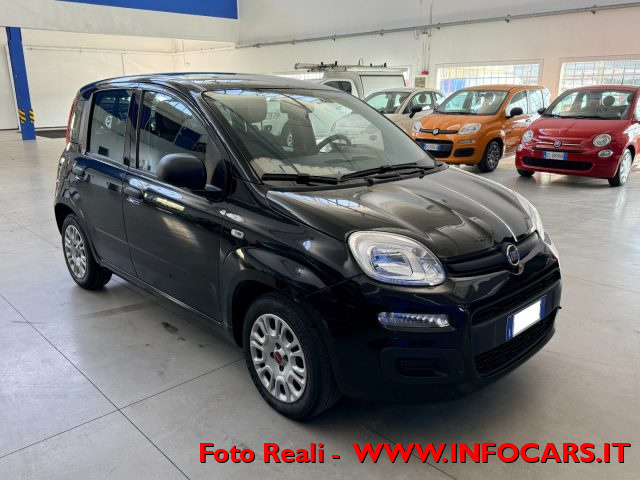 FIAT Panda Nero pastello