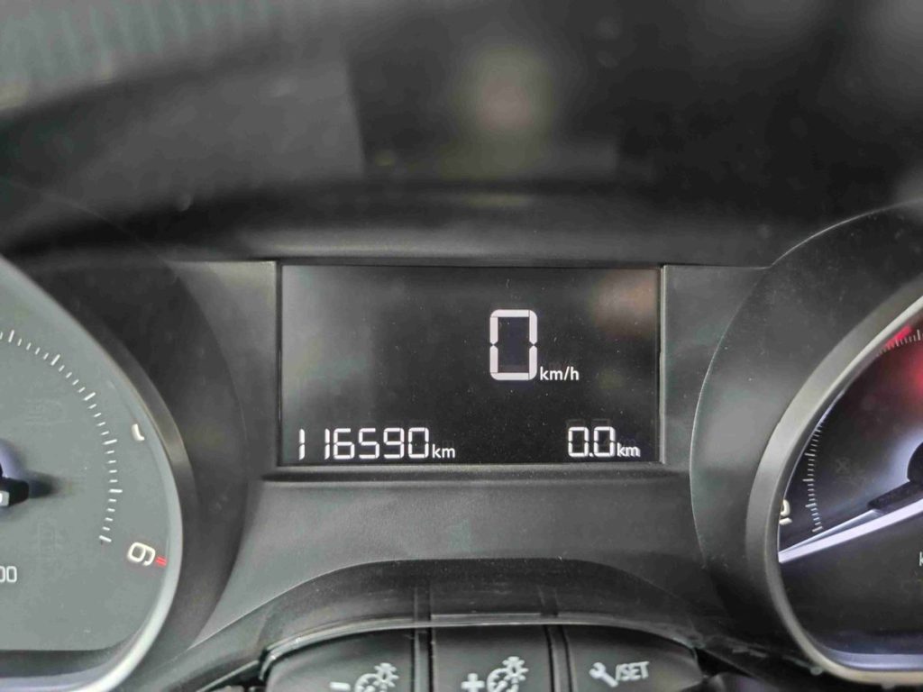 PEUGEOT 2008 1° serie BlueHDi 100 Active - 15