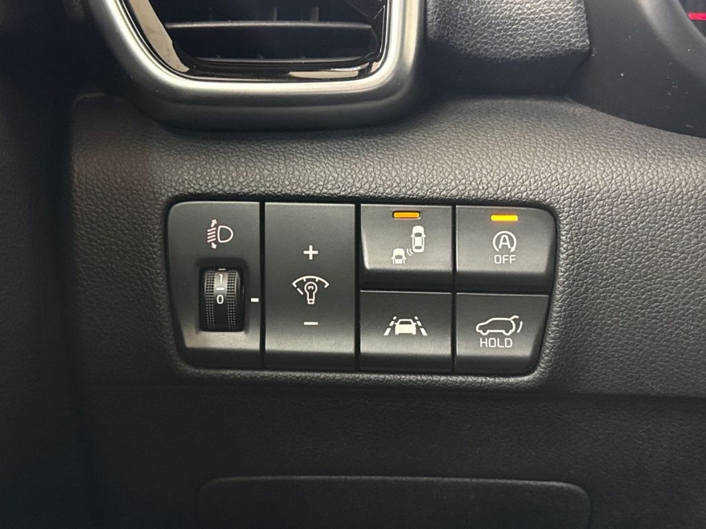 KIA Sportage 1.6 CRDI 136 CV DCT7 2WD Mild Hybrid GT Line - 19