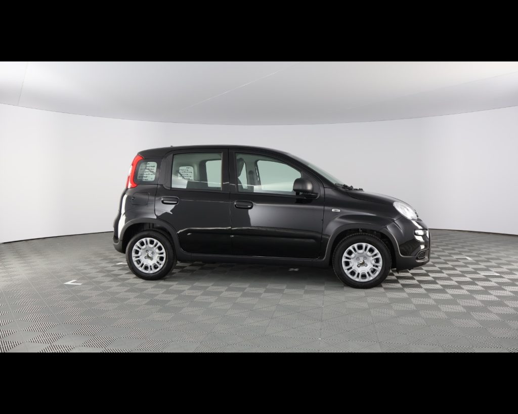 FIAT Panda My25 1.0 70cv Hybrid - 11