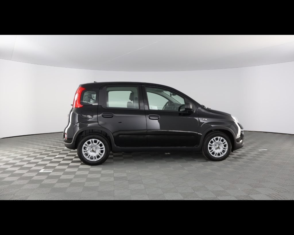 FIAT Panda My25 1.0 70cv Hybrid - 12