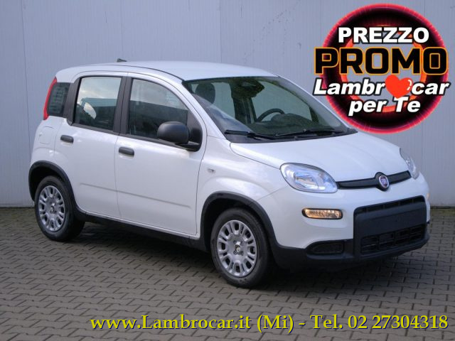 FIAT Panda Bianco pastello