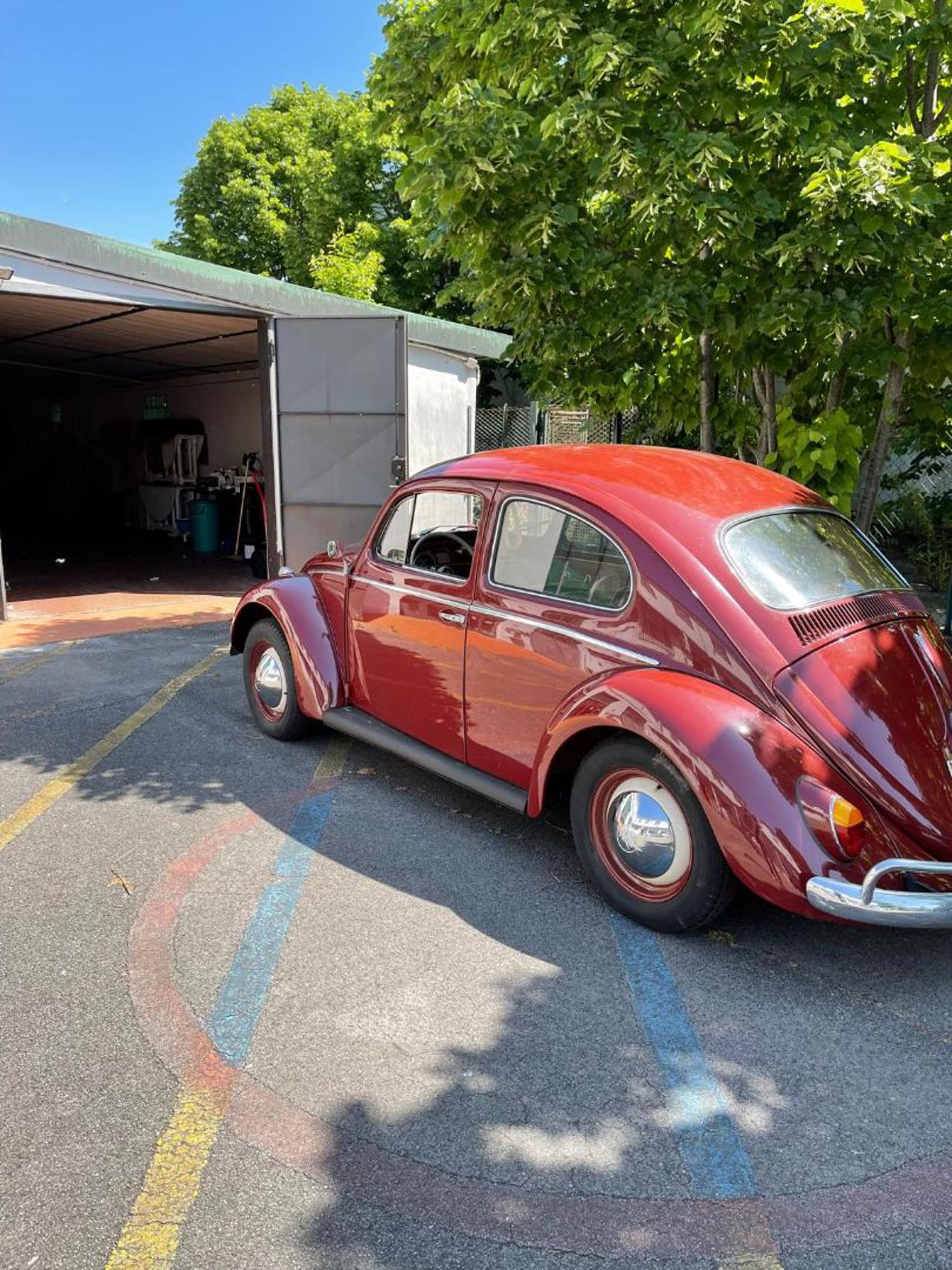 VOLKSWAGEN Maggiolino Maggiolino - 3