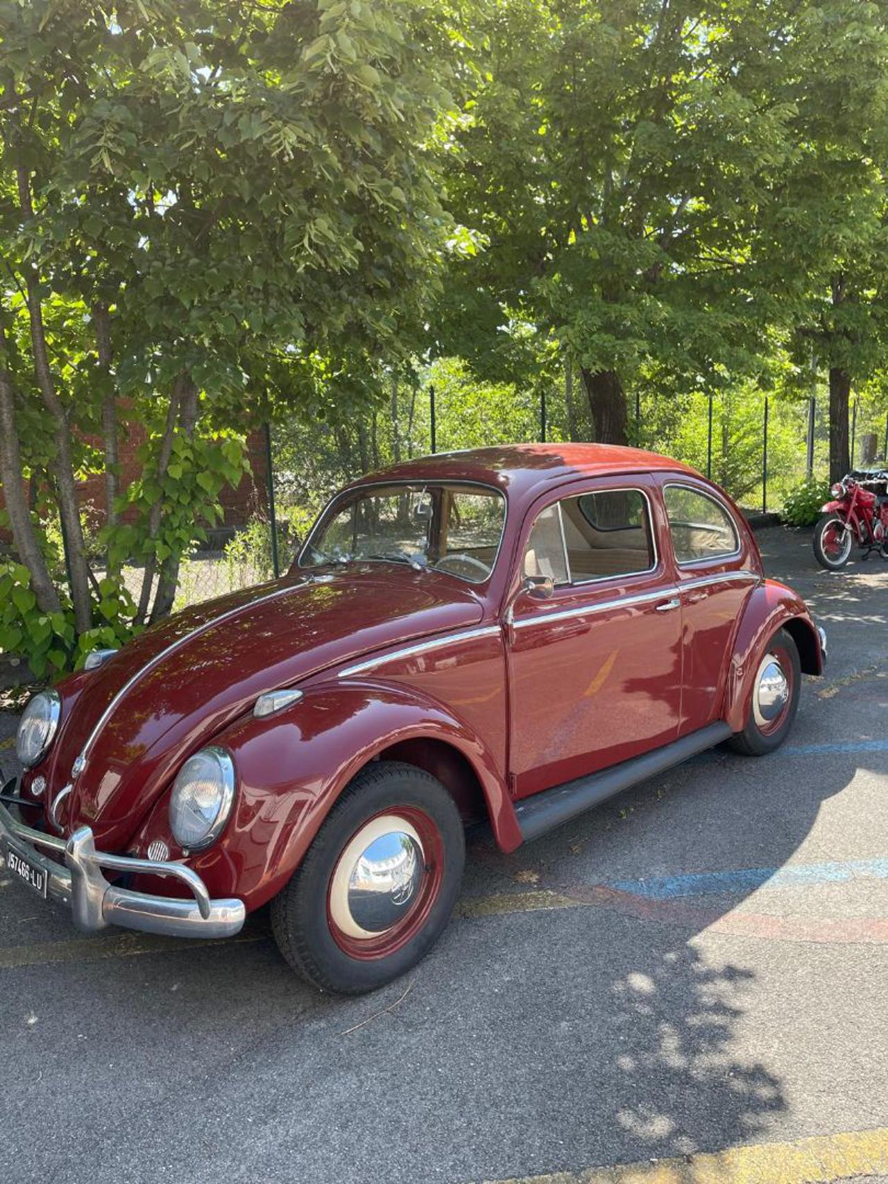 VOLKSWAGEN Maggiolino Maggiolino - 6