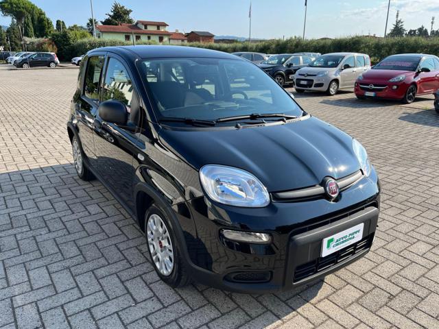 FIAT Panda Nero pastello