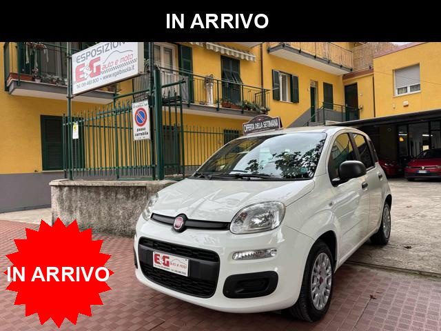 FIAT Panda Bianco pastello