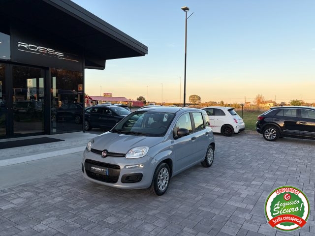 FIAT Panda Grigio pastello
