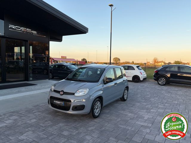 FIAT Panda Grigio pastello