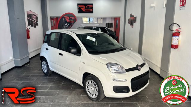 FIAT Panda Bianco metallizzato