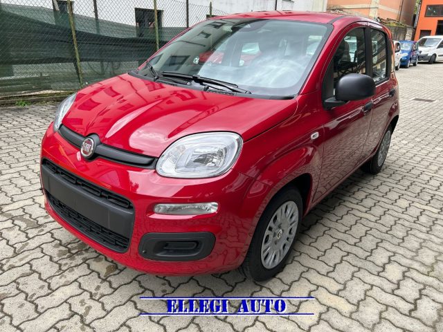 FIAT Panda Rosso pastello