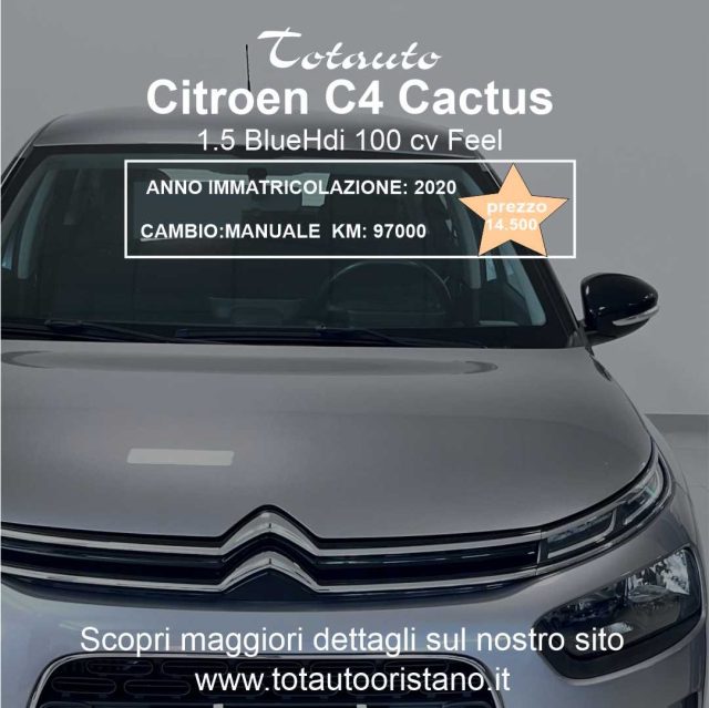 CITROEN C4 Cactus Grigio metallizzato