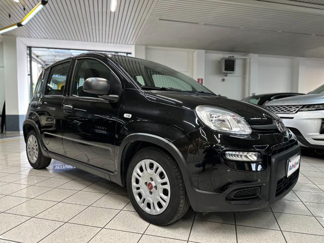 FIAT Panda Nero pastello