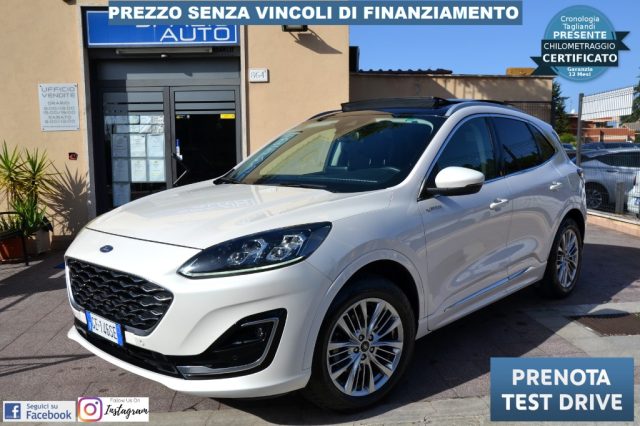 FORD Kuga Bianco perlato