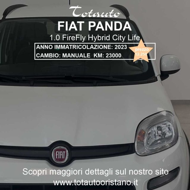 FIAT Panda Bianco pastello