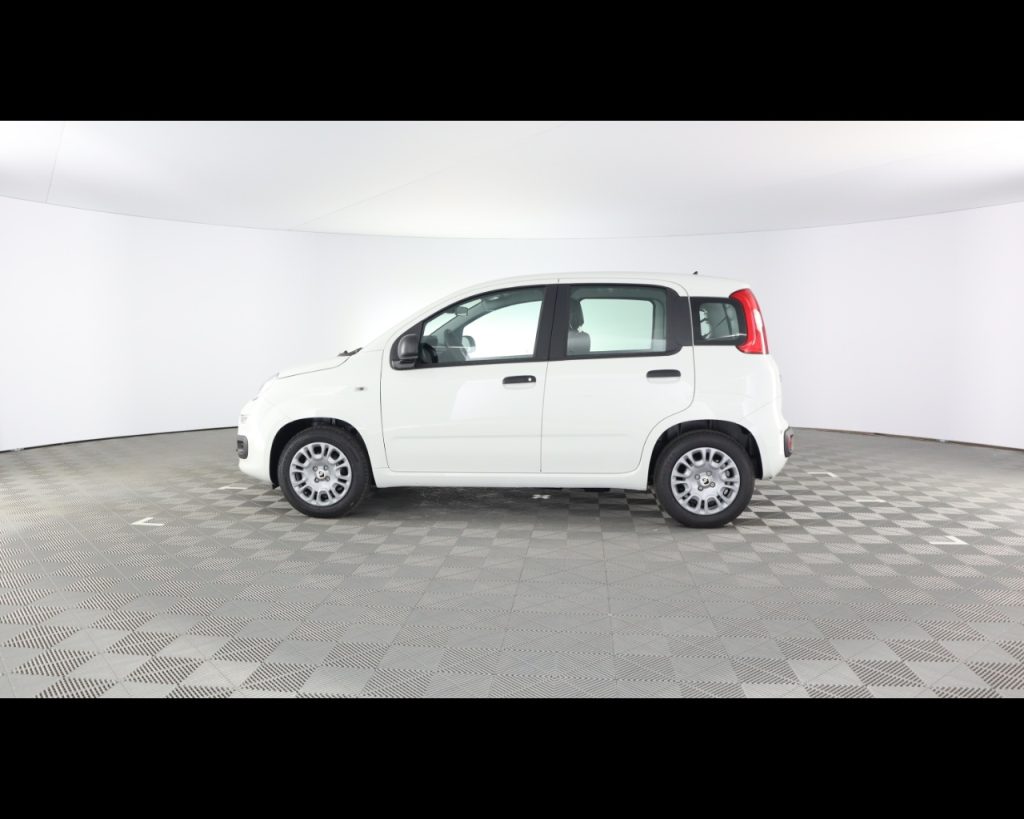 FIAT Panda My25 1.0 70cv Hybrid - 12