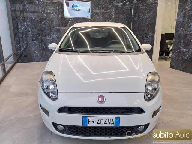FIAT Punto Blanc Pastel