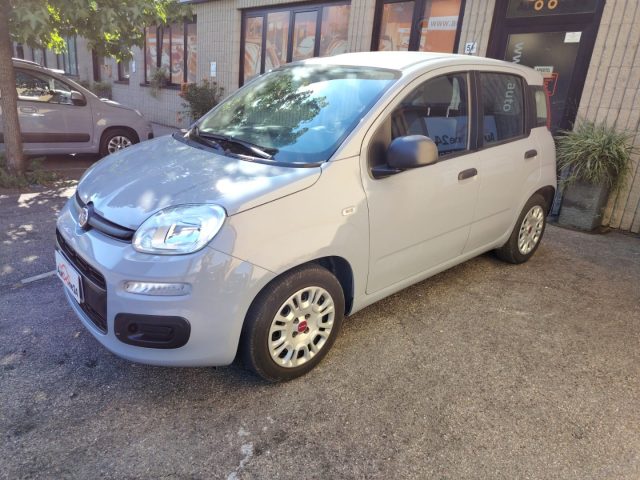 FIAT Panda Grigio Nardo pastello