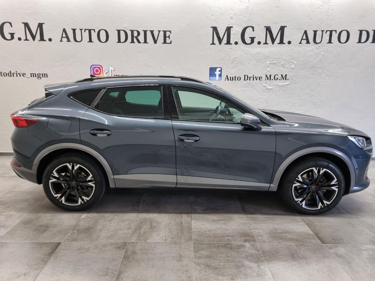 CUPRA Formentor 2.0 TDI 4Drive DSG - 4