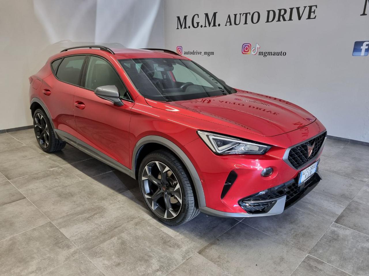 CUPRA Formentor 2.0 TDI 4Drive DSG - 17