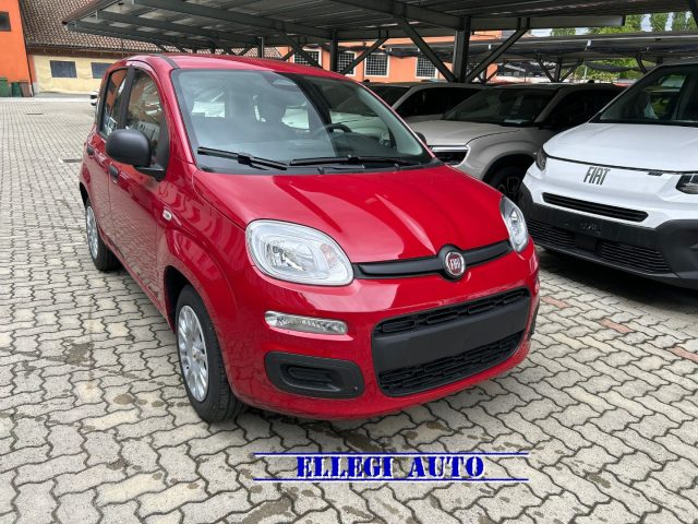 FIAT Panda Rosso pastello