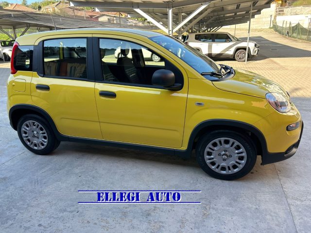 FIAT Panda Giallo pastello