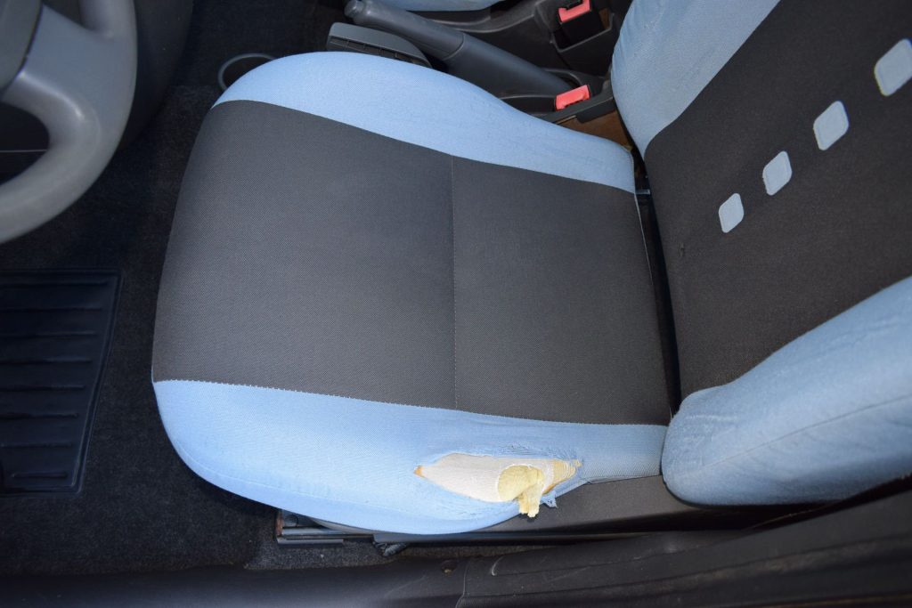 FIAT Panda Panda 1.2 Climbing Natural Power - 17