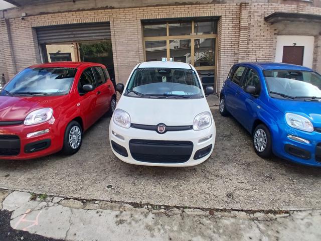 FIAT Panda Bianco pastello