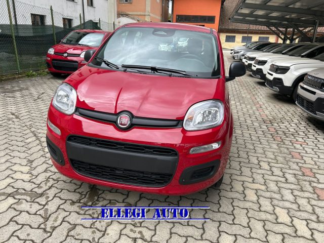 FIAT Panda Rosso pastello