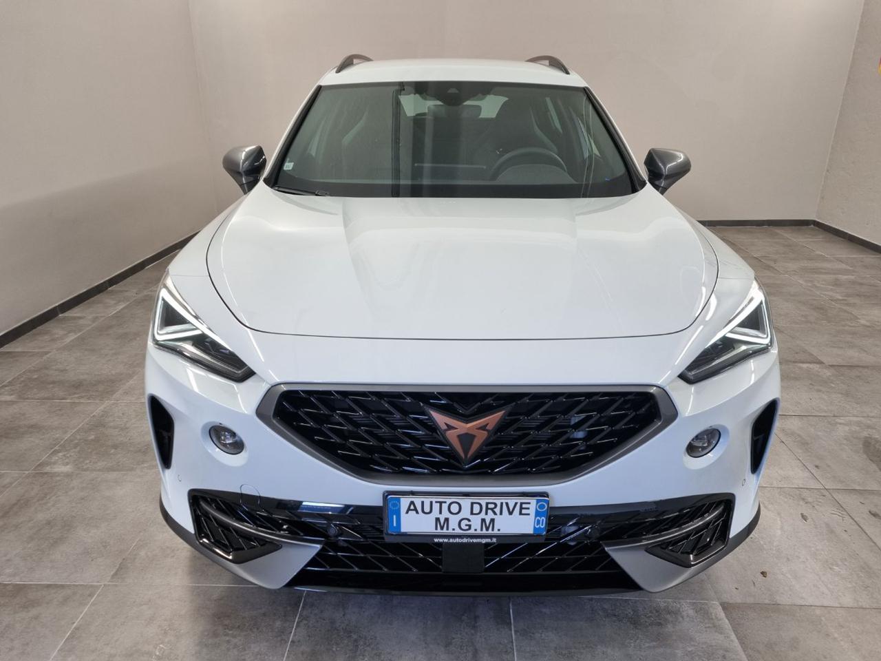 CUPRA Formentor 2.0 TSI 4Drive DSG - 5