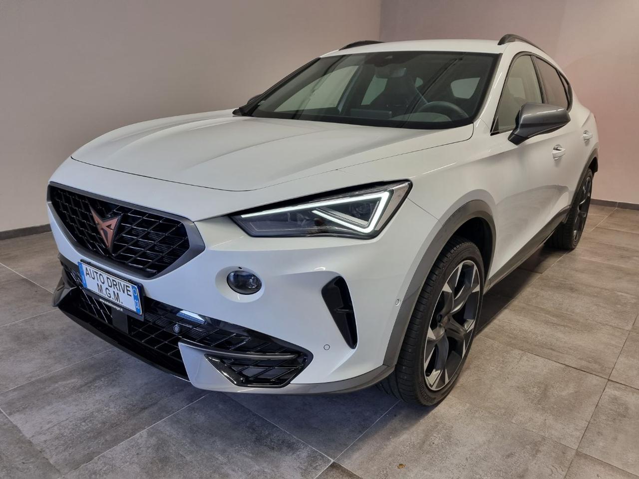 CUPRA Formentor 2.0 TSI 4Drive DSG - 34