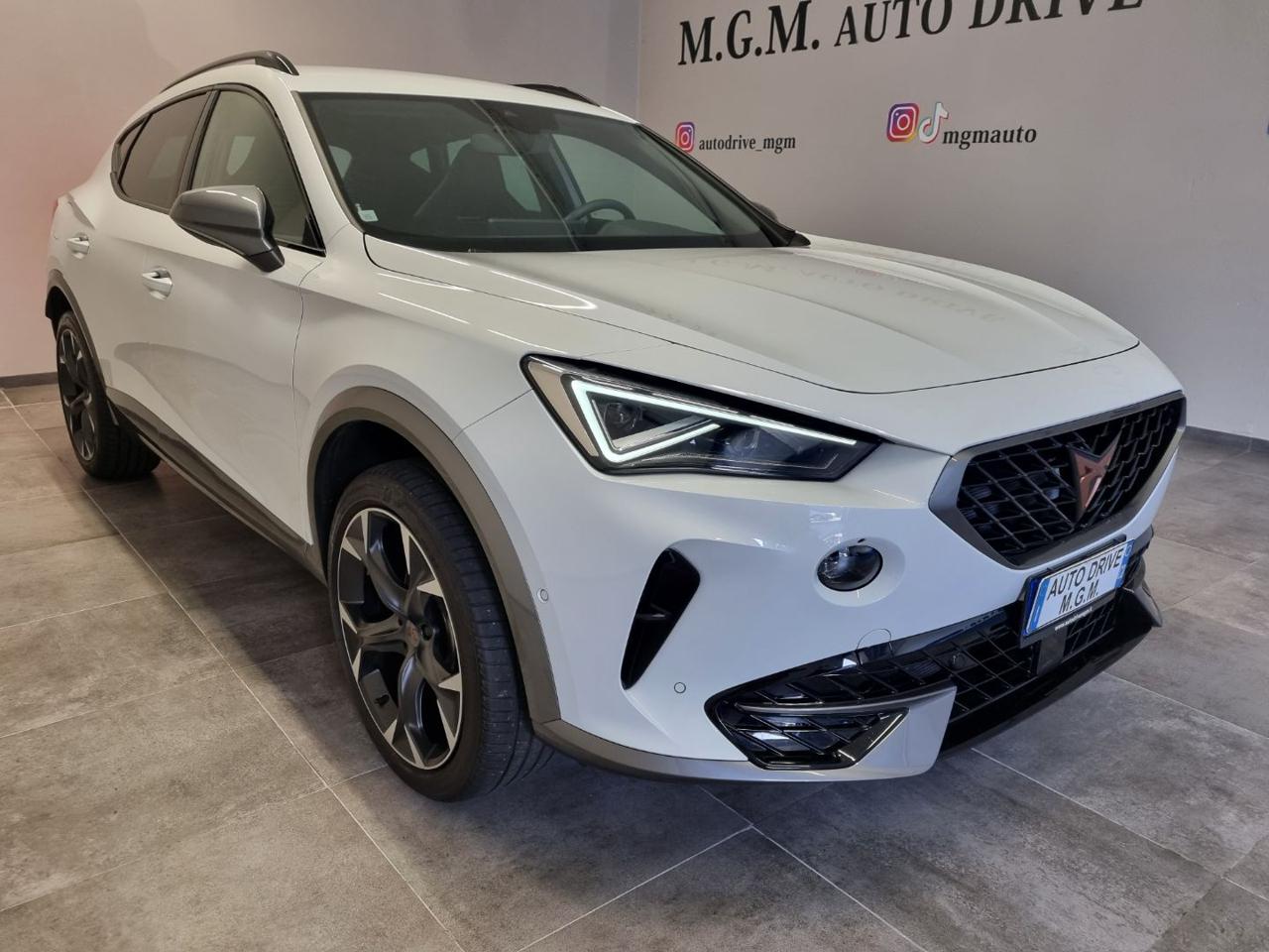 CUPRA Formentor 2.0 TSI 4Drive DSG - 35