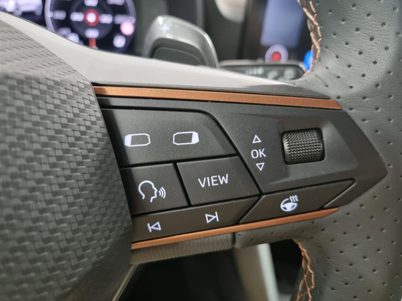 CUPRA Formentor 2.0 TSI 4Drive DSG - 17