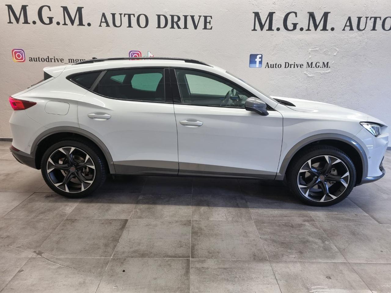 CUPRA Formentor 2.0 TSI 4Drive DSG - 4