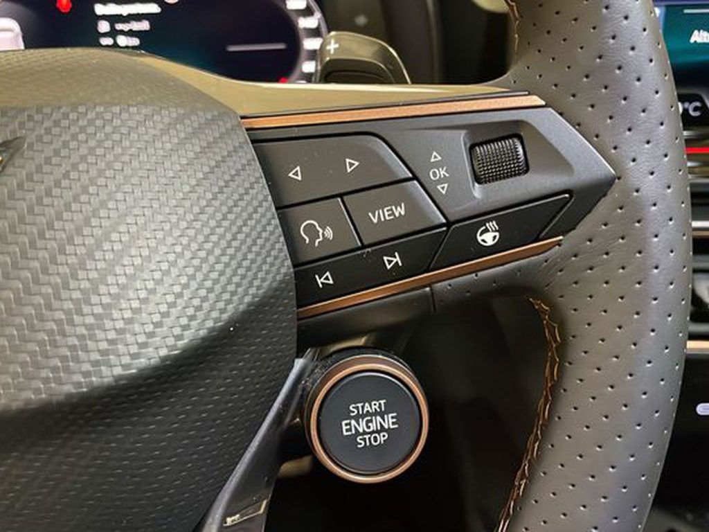 CUPRA Formentor 2.0 tdi 150cv dsg - 11