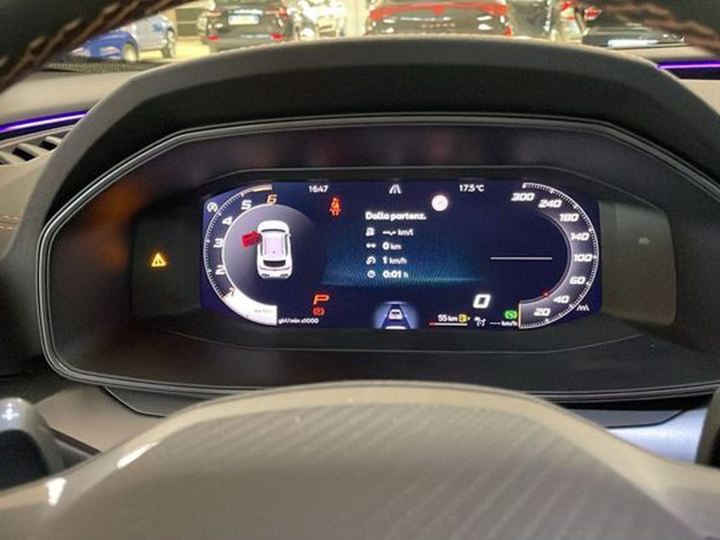 CUPRA Formentor 2.0 tdi 150cv dsg - 14