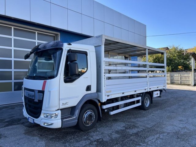 DAF  Bianco pastello