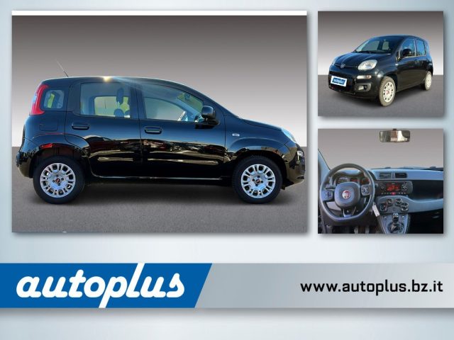 FIAT Panda Schwarz pastell
