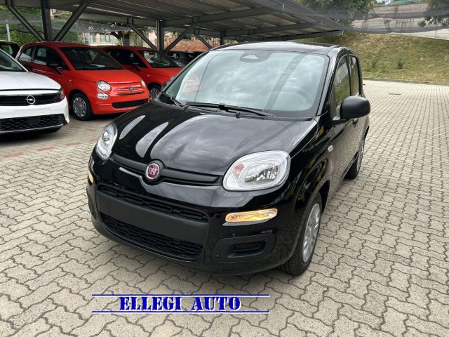 FIAT Panda Nero pastello