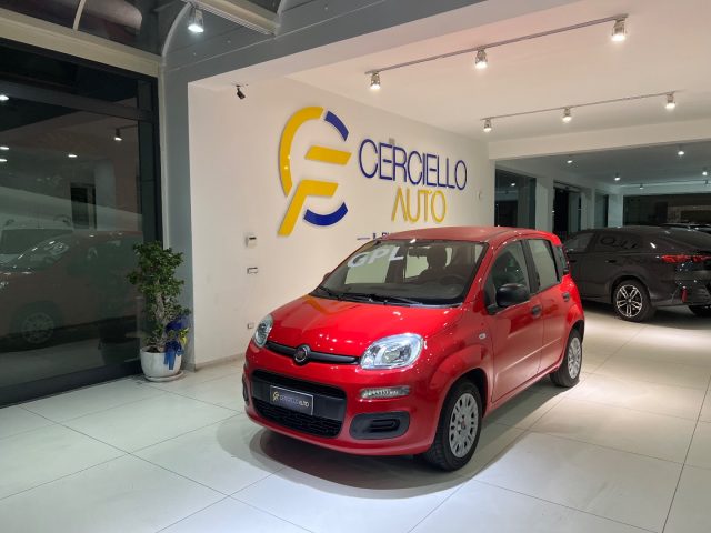 FIAT Panda Rosso perlato