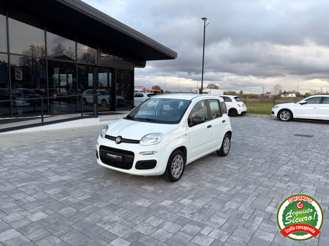 FIAT Panda Bianco pastello
