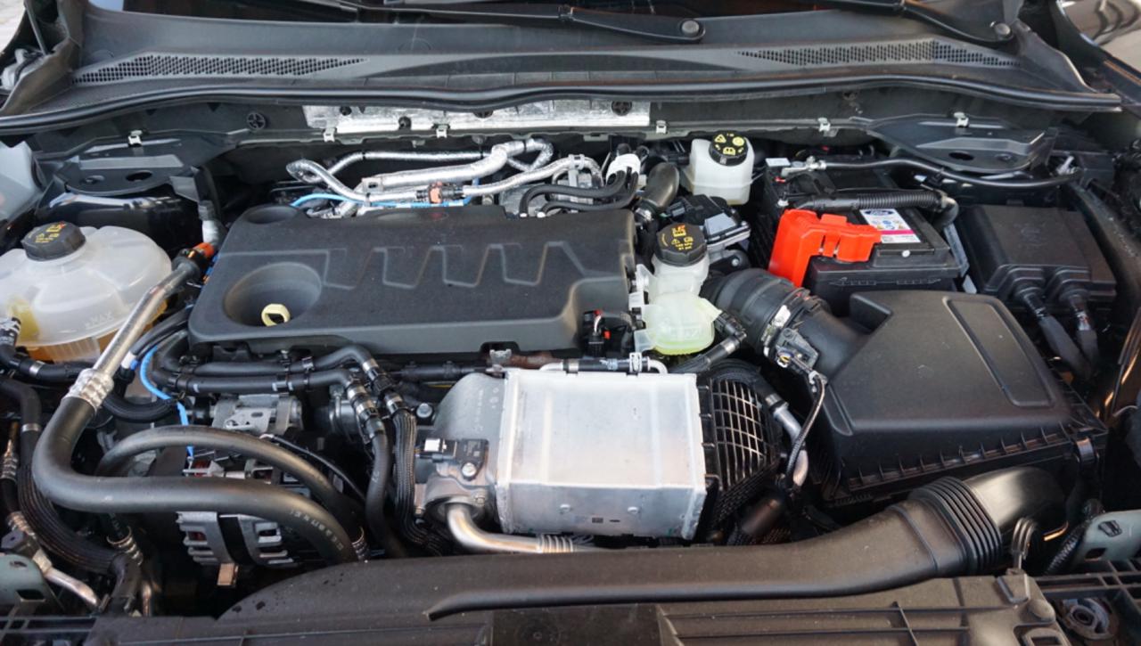 FORD Kuga 2.0 EcoBlue 120 CV aut. 2WD ST-Line - 41