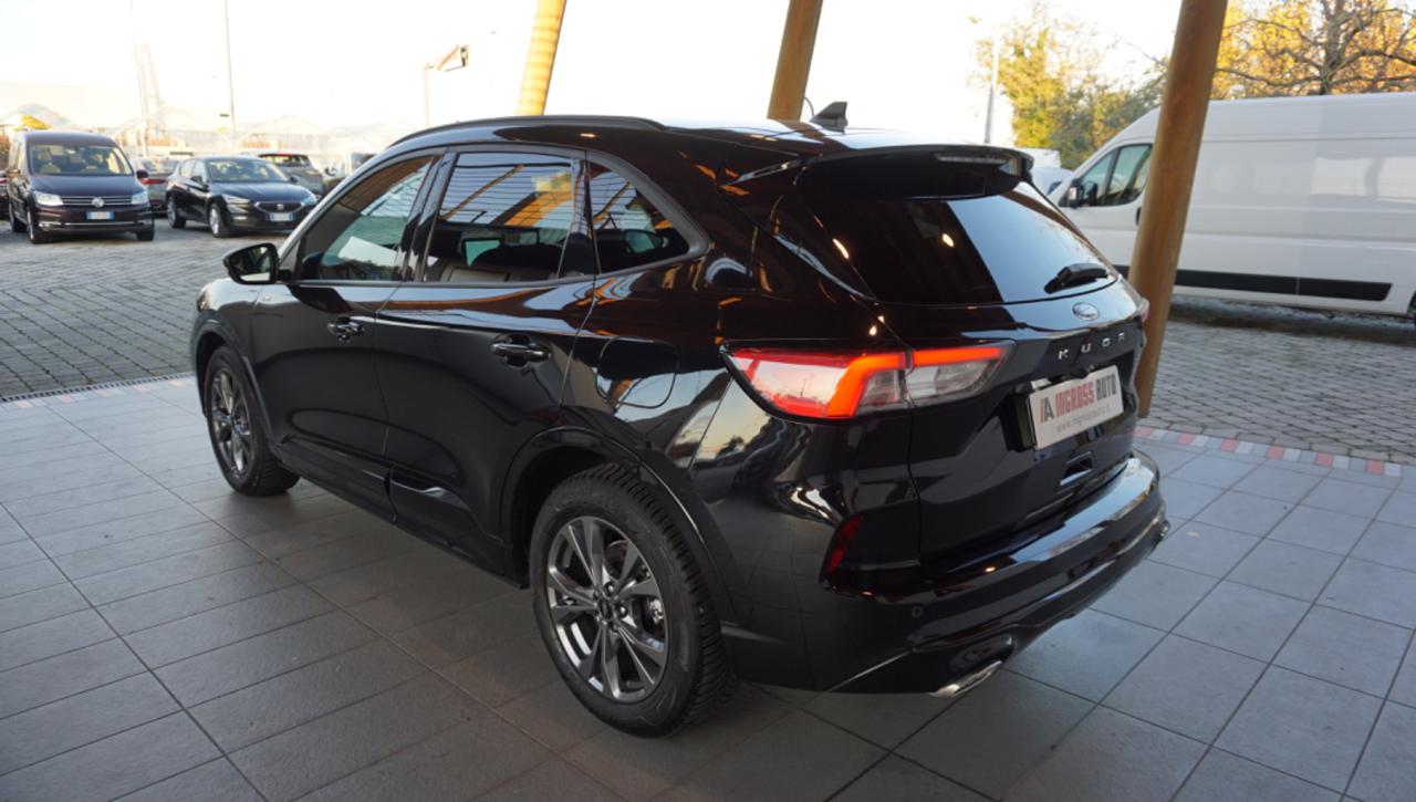 FORD Kuga 2.0 EcoBlue 120 CV aut. 2WD ST-Line - 3