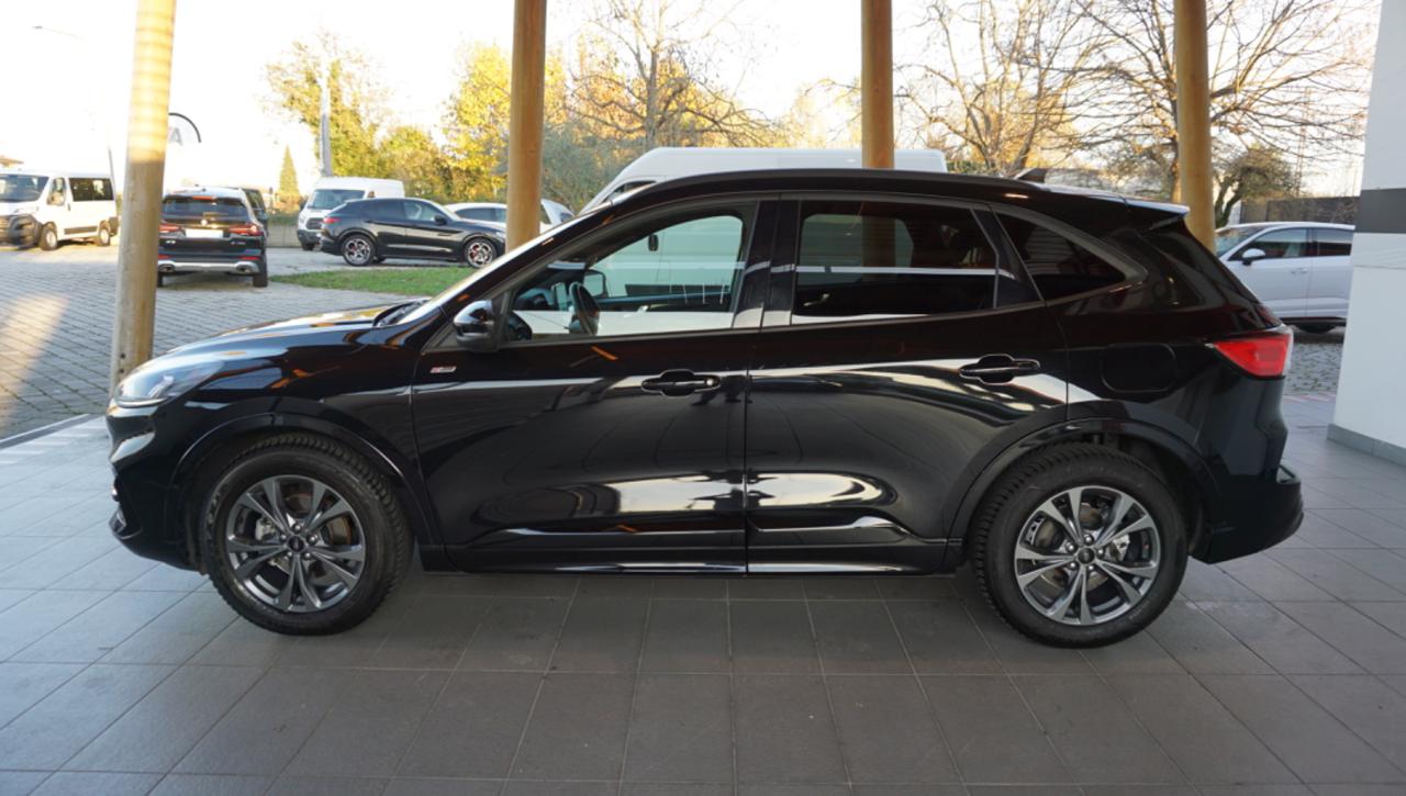 FORD Kuga 2.0 EcoBlue 120 CV aut. 2WD ST-Line - 2