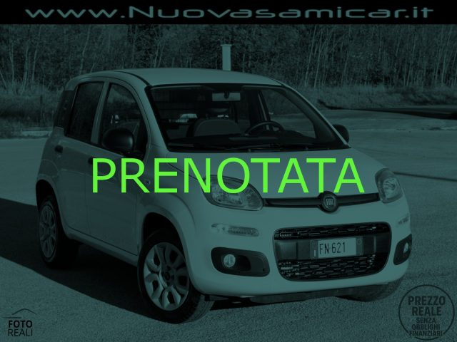 FIAT Panda Bianco pastello