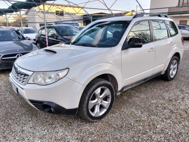 SUBARU Forester Bianco pastello