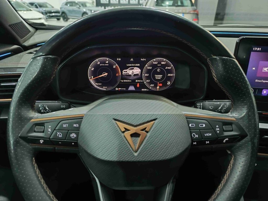 CUPRA Formentor 2.0 TDI - 17