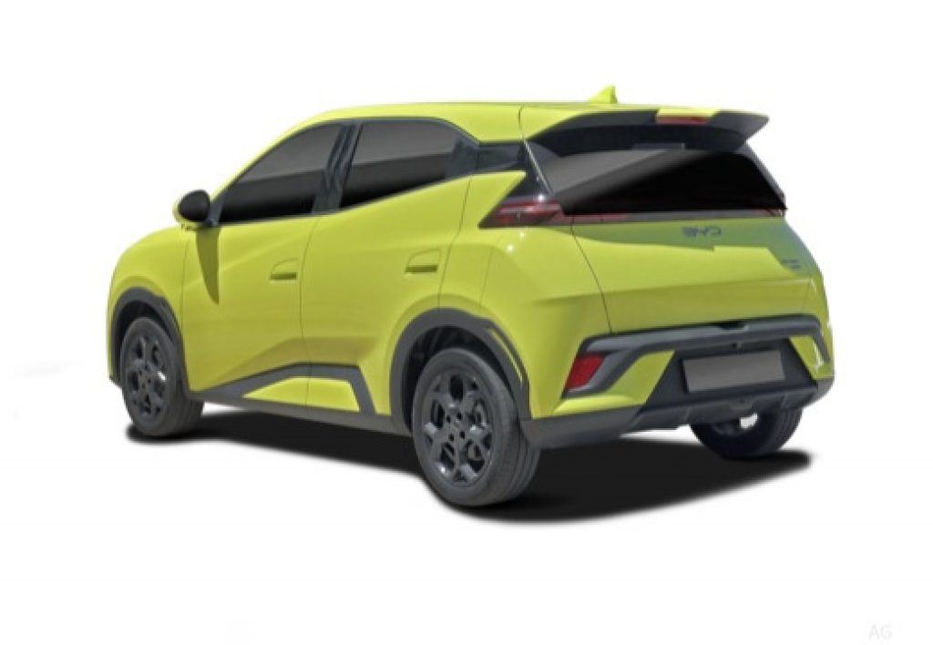 BYD Dolphin Surf 43,2 Kwh Boost - 2