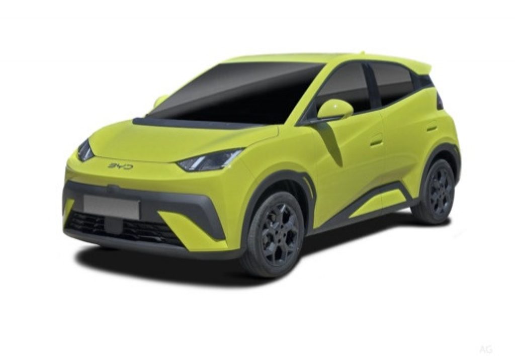 BYD Dolphin Surf 43,2 Kwh Boost - 2