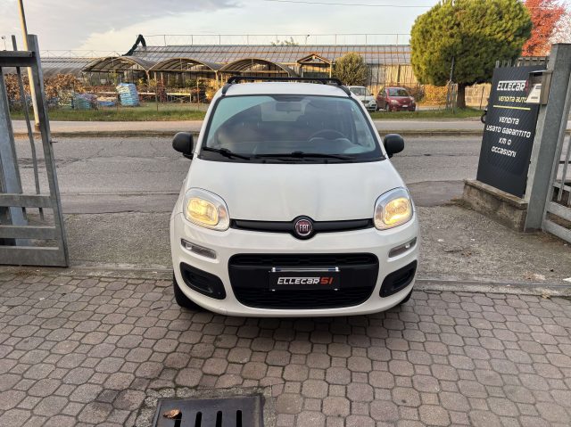 FIAT New Panda Argento pastello