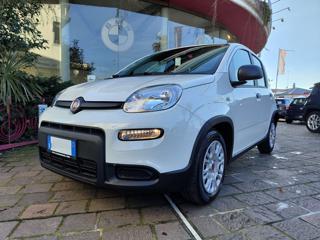 FIAT PANDA 1.0 70CV FireFly S&S Hybrid